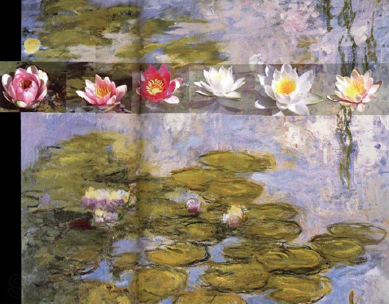 Claude Monet Detail from Water Lilies